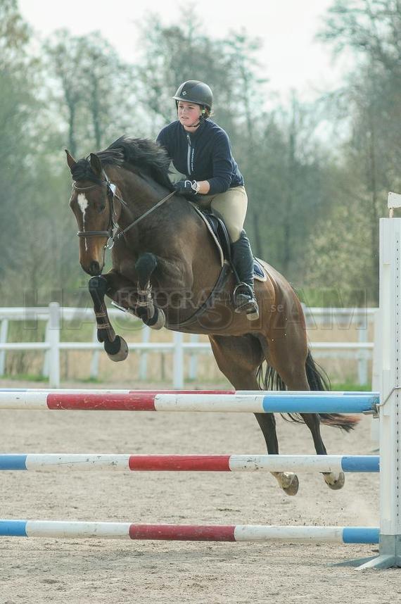 Profilbild