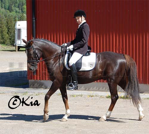 Profilbild
