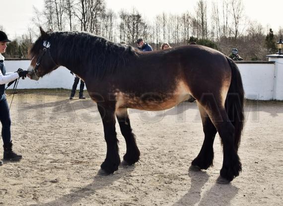 Profilbild