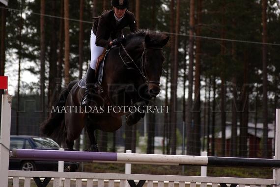 Profilbild
