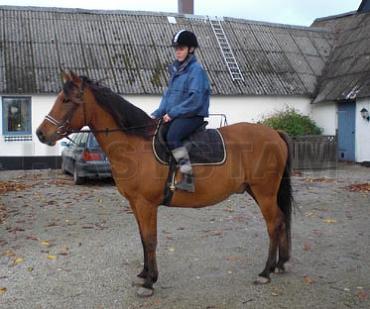 Profilbild