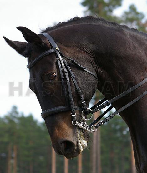 Profilbild
