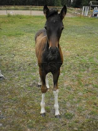 Profilbild