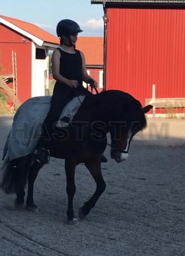 Profilbild