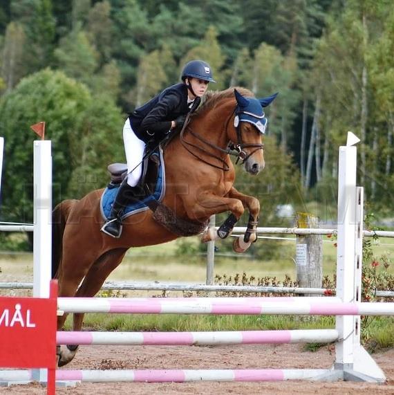 Profilbild