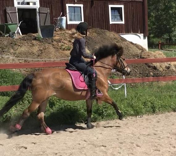 Profilbild