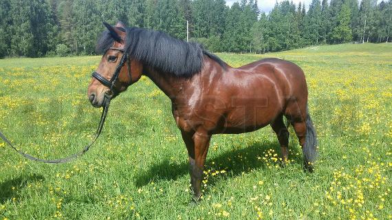 Profilbild
