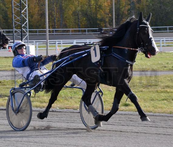 Profilbild