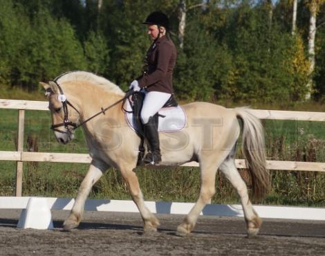 Profilbild
