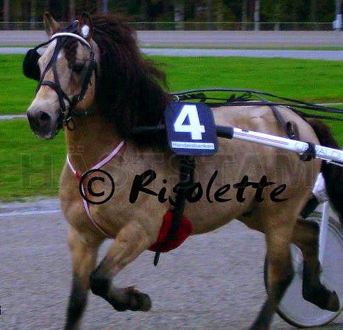 Profilbild