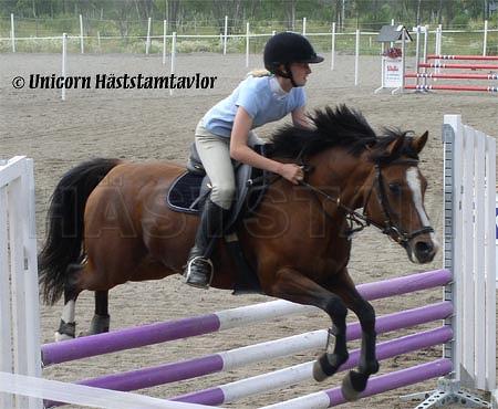 Profilbild