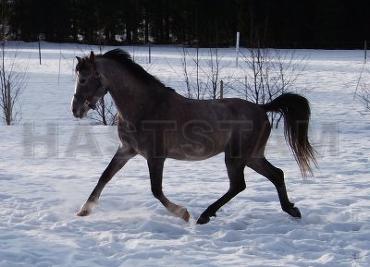 Profilbild