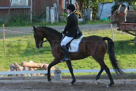 Profilbild