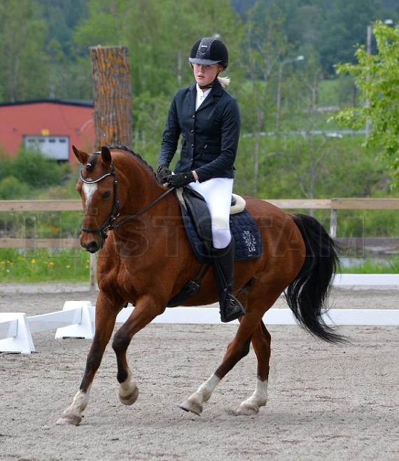 Profilbild
