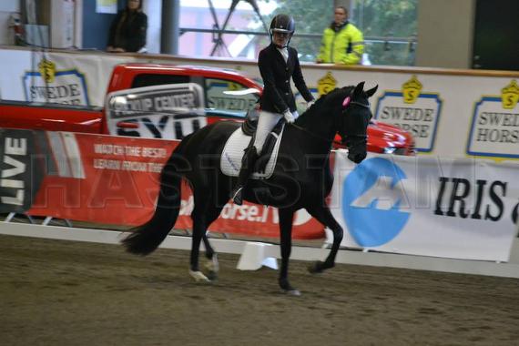 Profilbild