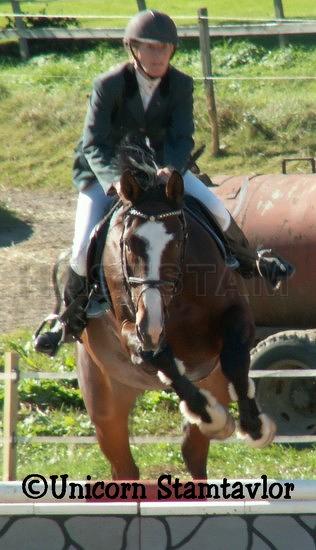 Profilbild