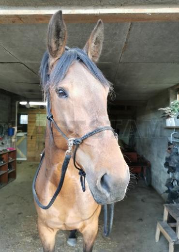 Profilbild