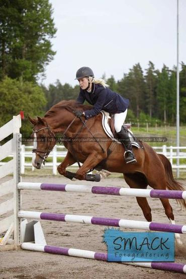 Profilbild