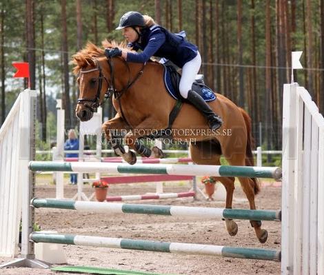 Profilbild