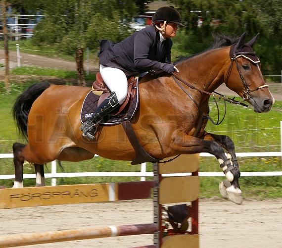 Profilbild