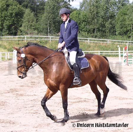 Profilbild