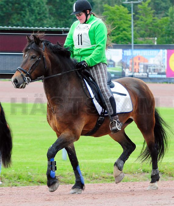 Profilbild