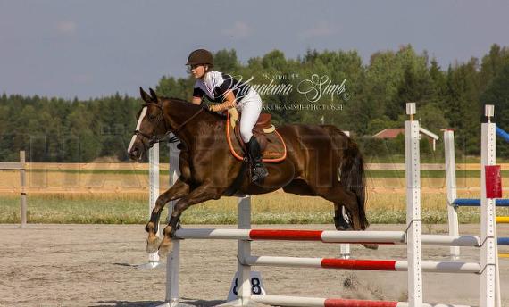 Profilbild