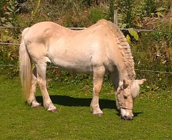 Profilbild