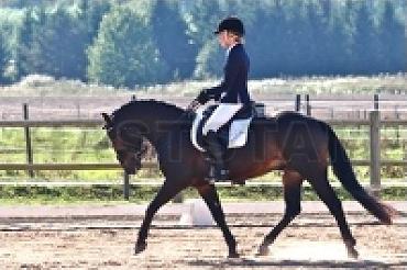 Profilbild