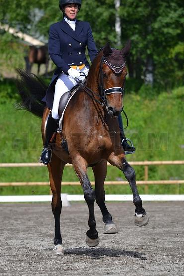 Profilbild