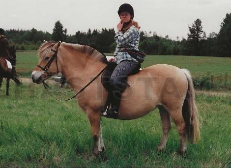 Profilbild