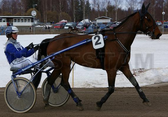 Profilbild