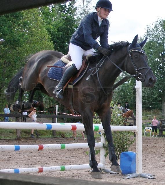 Profilbild