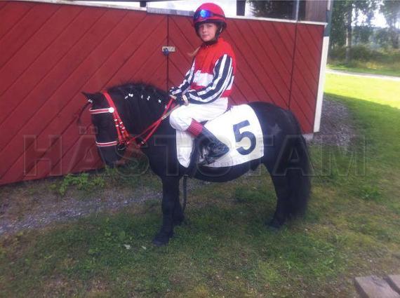 Profilbild