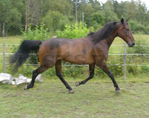 Profilbild