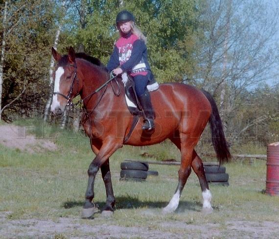 Profilbild