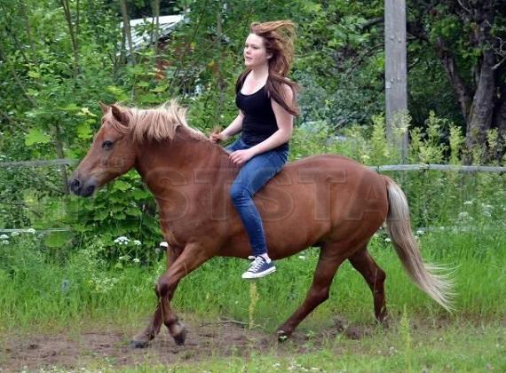 Profilbild
