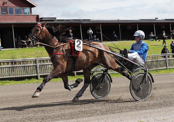 Profilbild