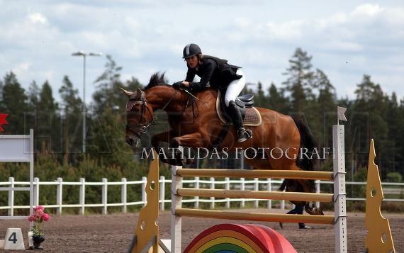 Profilbild