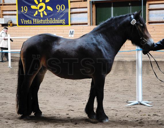 Profilbild