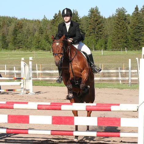 Profilbild