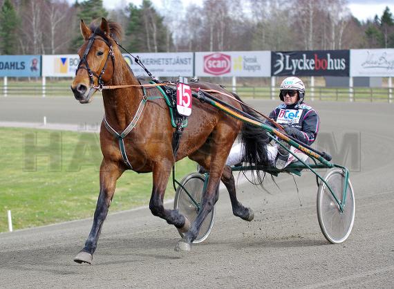Profilbild