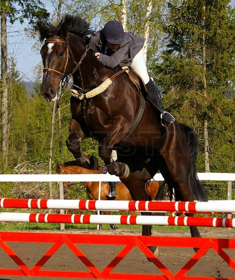 Profilbild