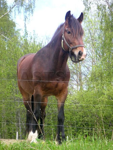 Profilbild