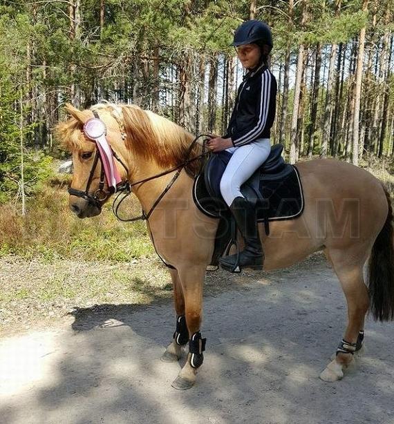 Profilbild