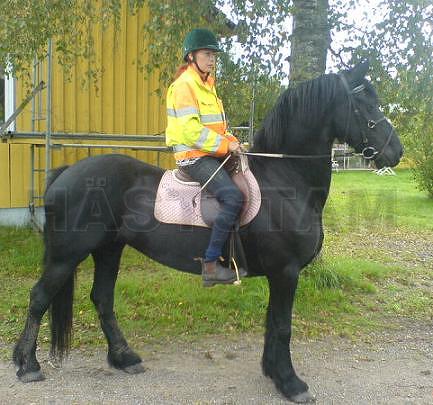 Profilbild