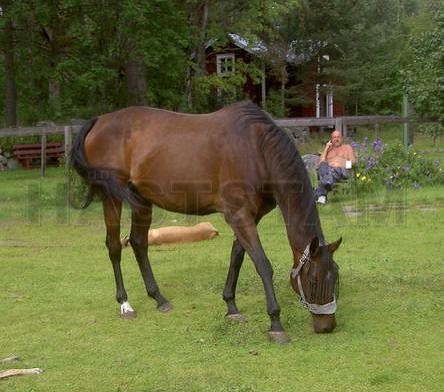 Profilbild