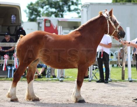 Profilbild