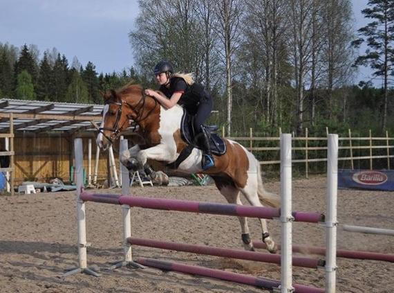 Profilbild