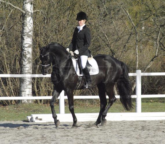 Profilbild